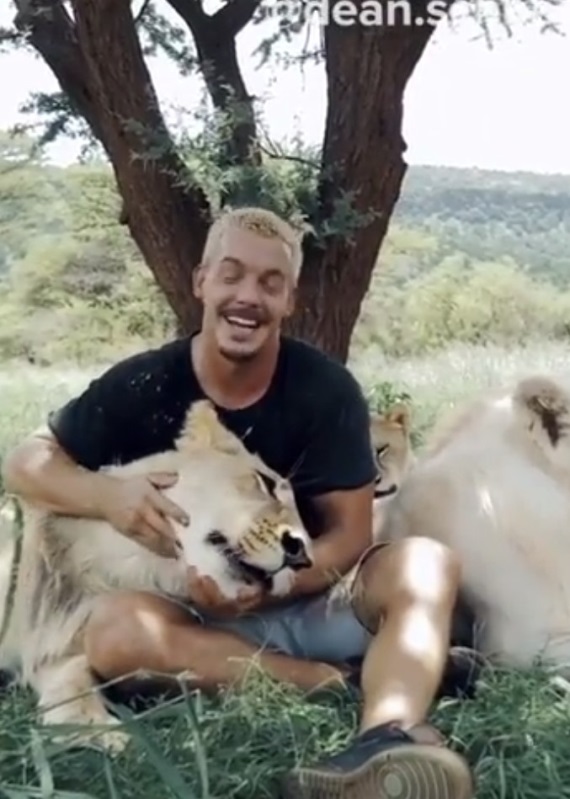 Keď sa znovu stretnete so svojimi mačičkami